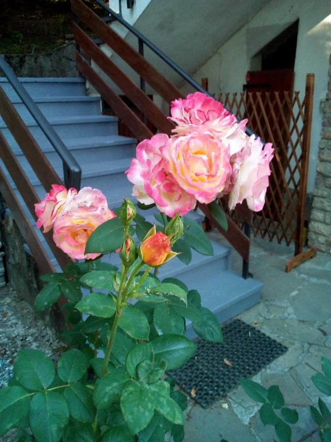 M&G Ranch Bed & Breakfast Vendaso Bagian luar foto